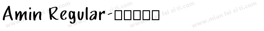 Amin Regular字体转换